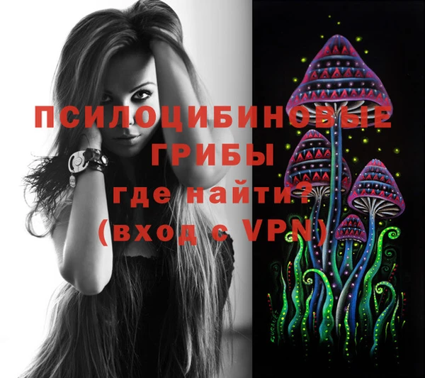 стаф Саяногорск